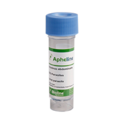 Apheline