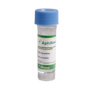 Aphiline image