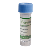 Erviline image