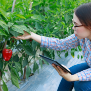 Industries agro-alimentaires