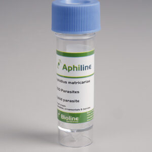 Aphiline M image