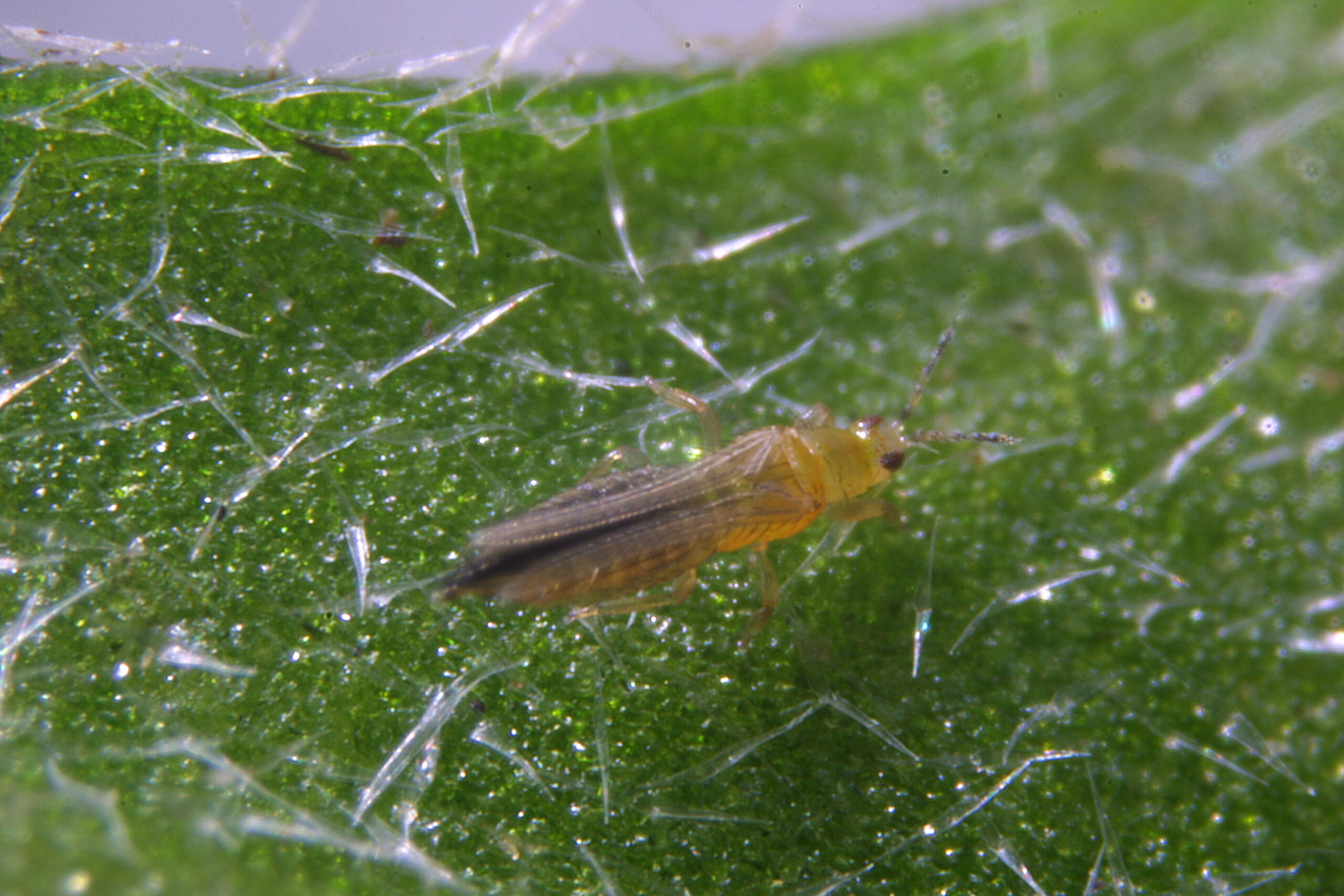 Nuestros valoresNaturaleza. Proximidad. Servicio. Fiabilidad.Orientado a las soluciones. Personas. Experiencia. Sostenibilidad.