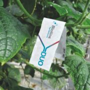 Bugline Duo & Gemini Duo: easy application and reliable dosage