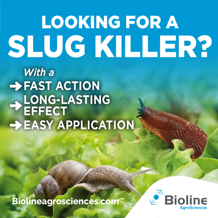 Nematodes against slugs are available