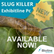 Our new strain of slug killer nematode is available now!
