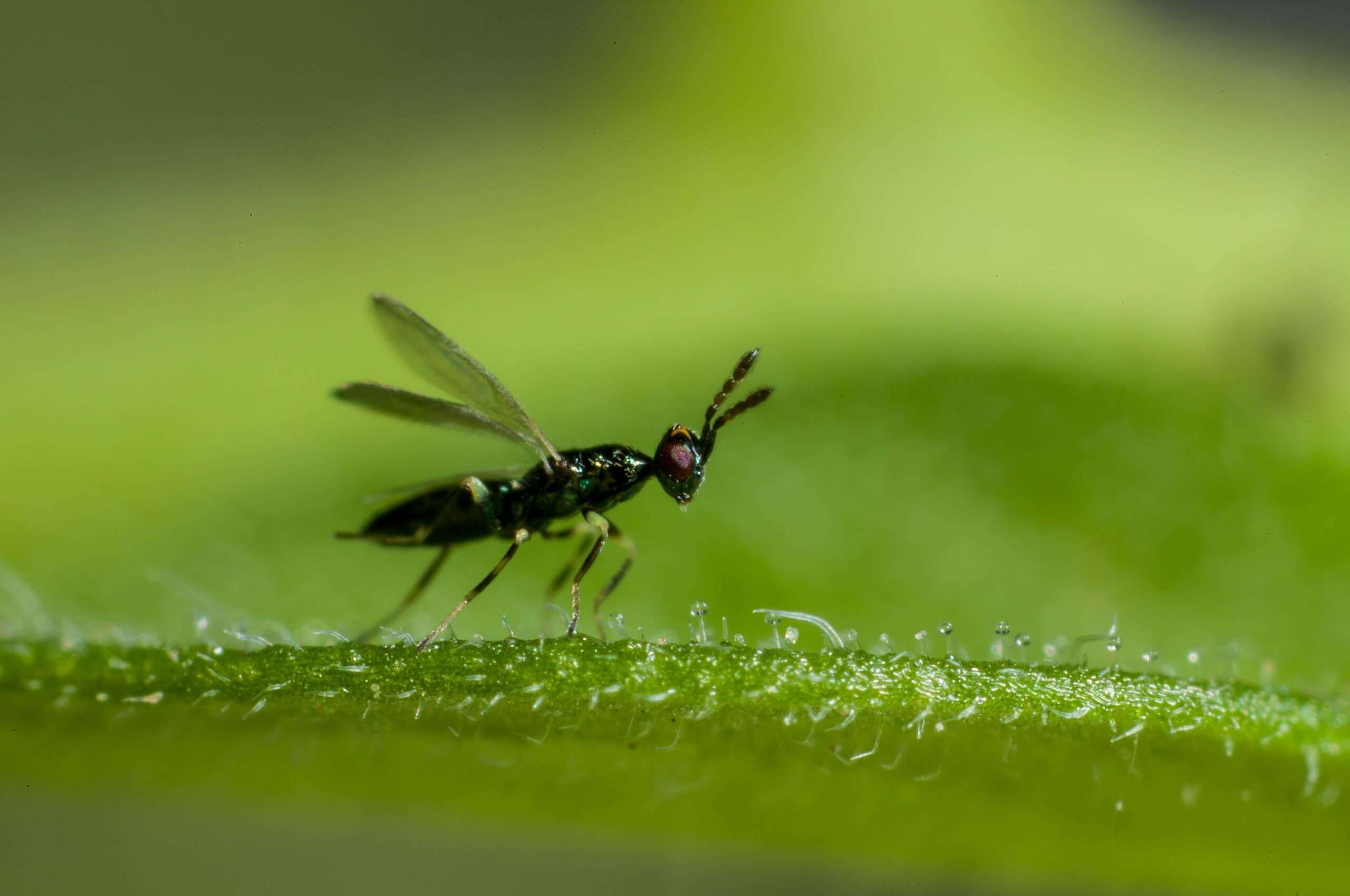 Powered by nature. Designed to perform.